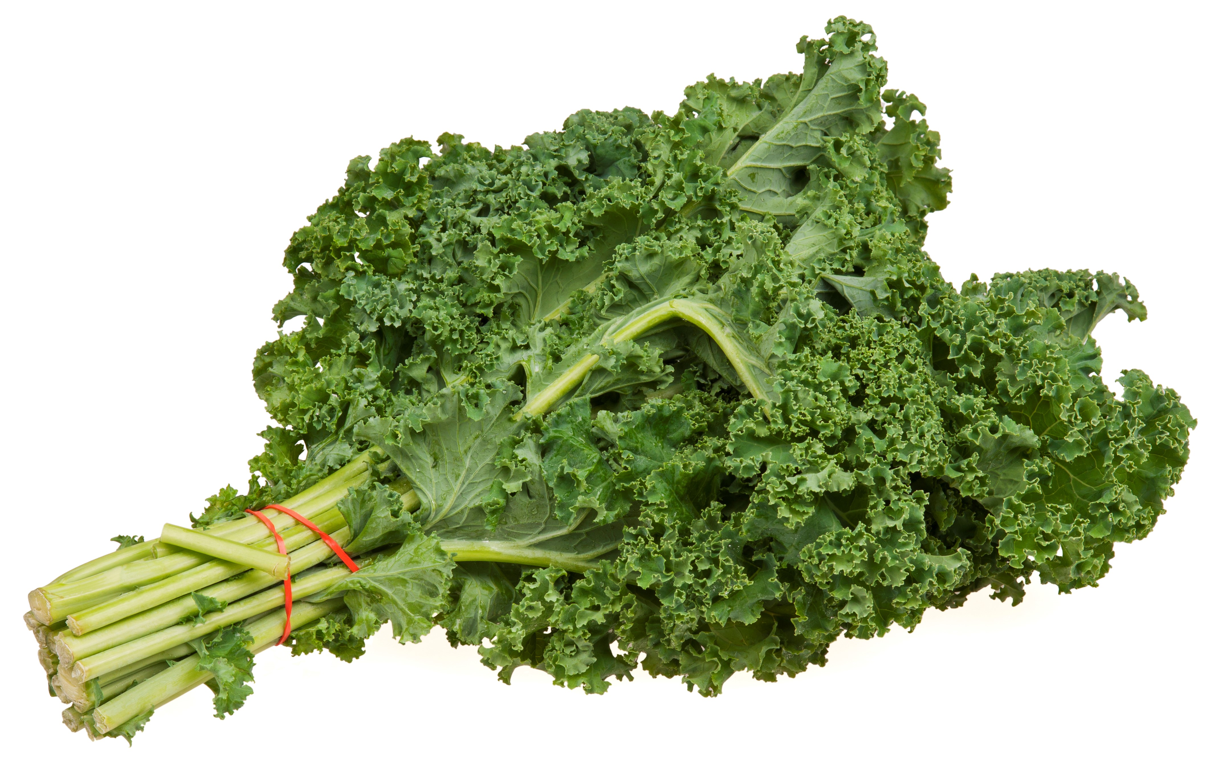 This Nutrition Power Hitter is Better Home-Grown – but get it in any way you can!
