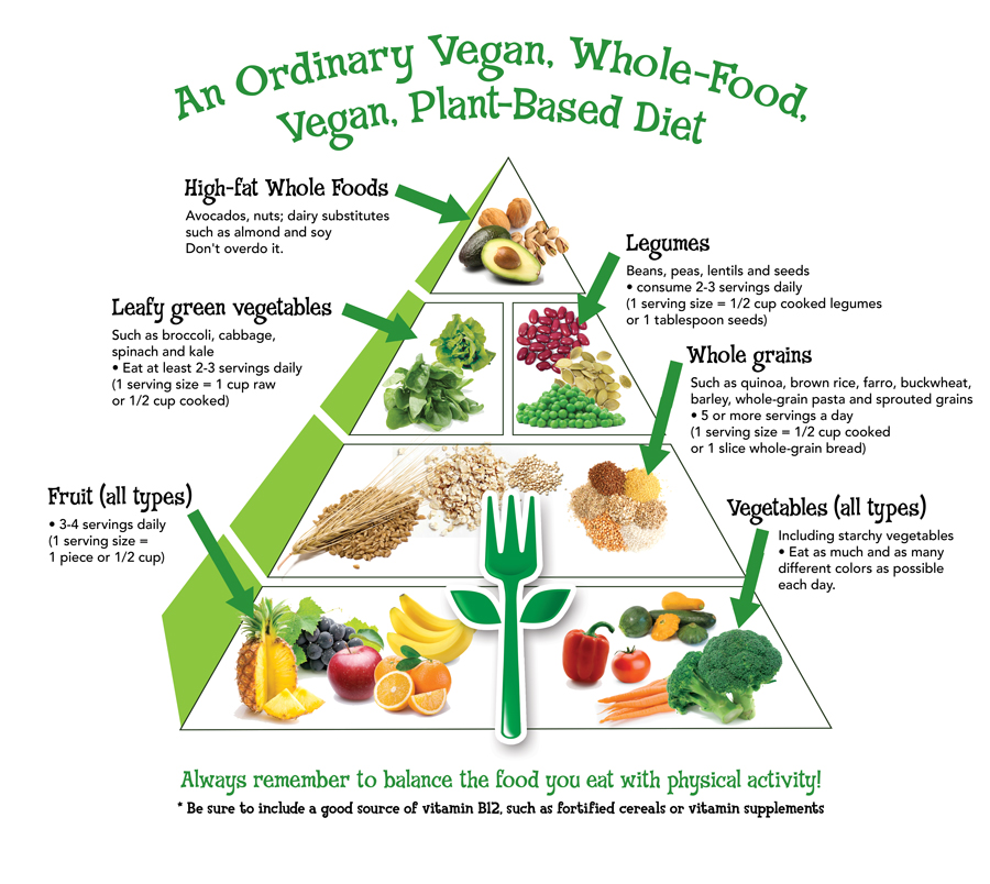 Vegan Protein Scale  Going vegan, Vegan foods, Vegan diet