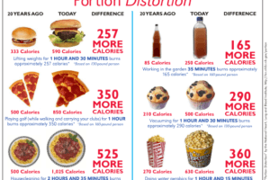 Portion vs Serving Size
