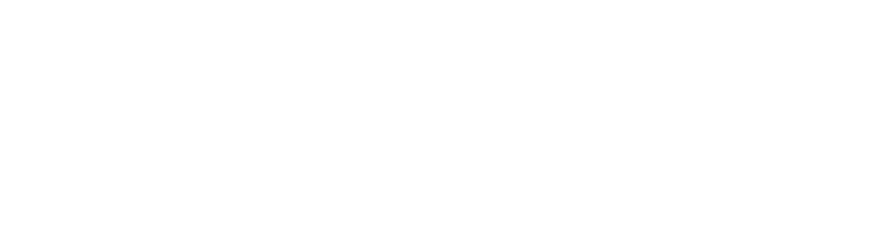 positive choice logo in white